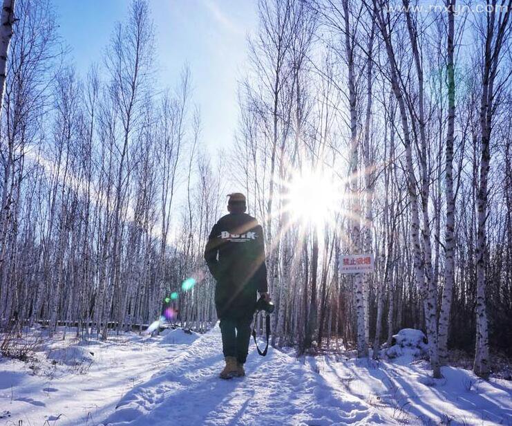 梦见地上有雪但不下雪