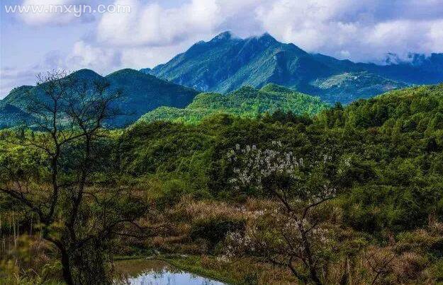 梦见坟山