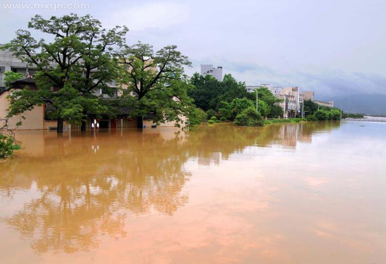 梦见发大水自己在水里