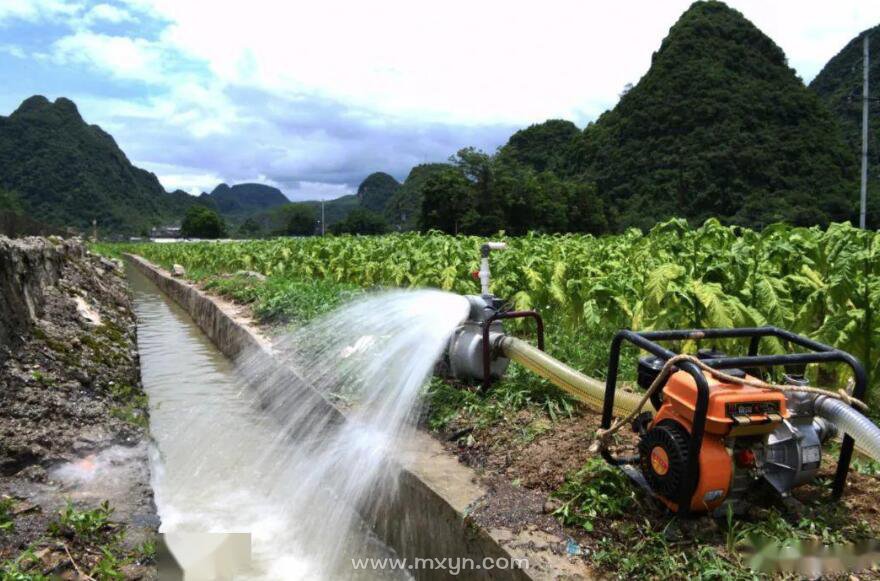 梦见抽水