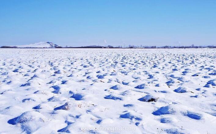 梦见满地都是雪