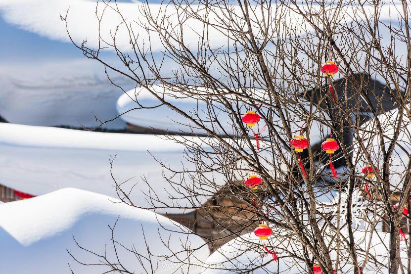 梦见满地都是雪