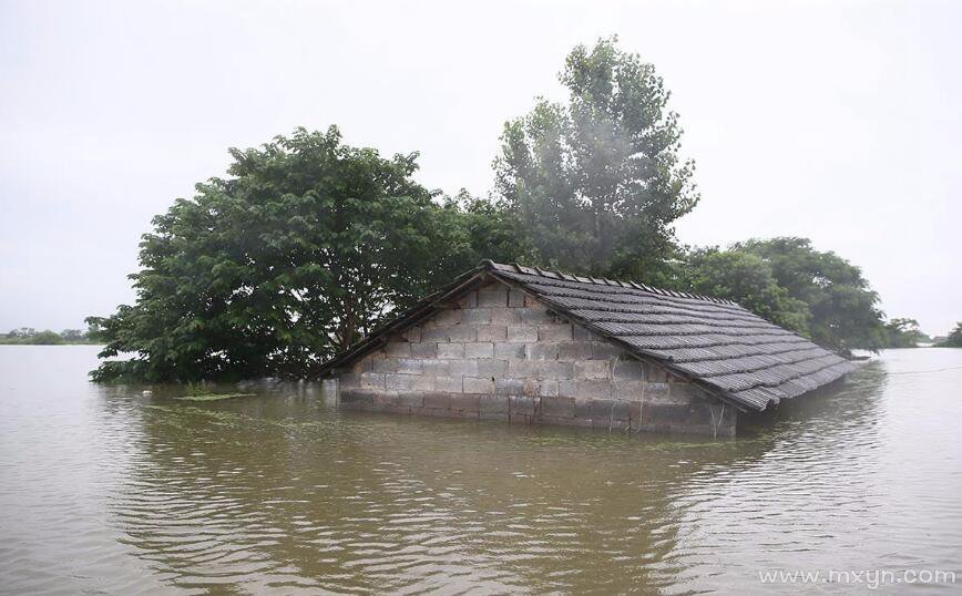 梦见房子被水淹了