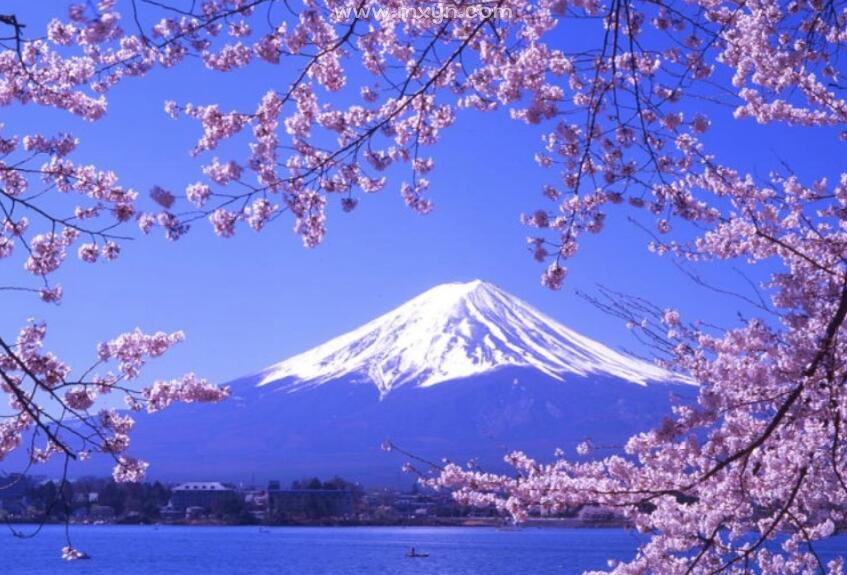 梦见去日本旅游