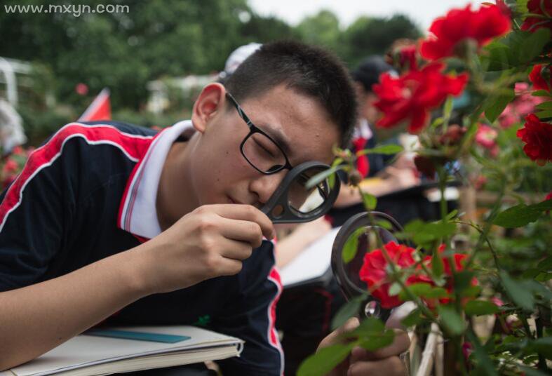 梦见中学同学男的