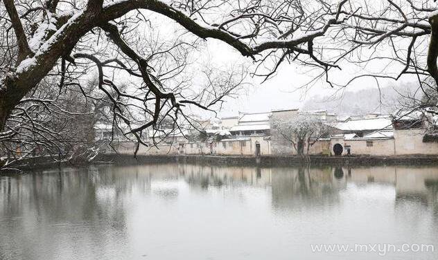 梦见把屎拉在裤子里