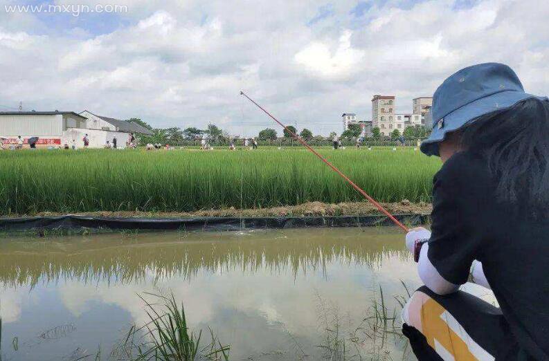 孕妇梦见钓鱼一钓就上钩