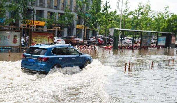 梦见雨水把路淹了