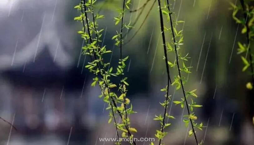 二十四节气之雨水概说 东风解冻散为雨