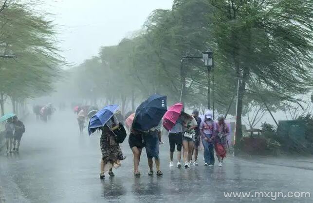 孕妇梦见狂风暴雨