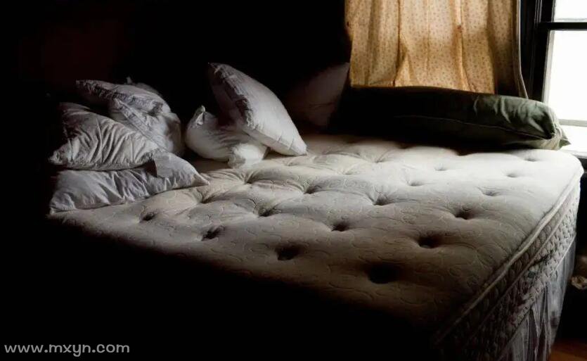 梦见床上有老鼠