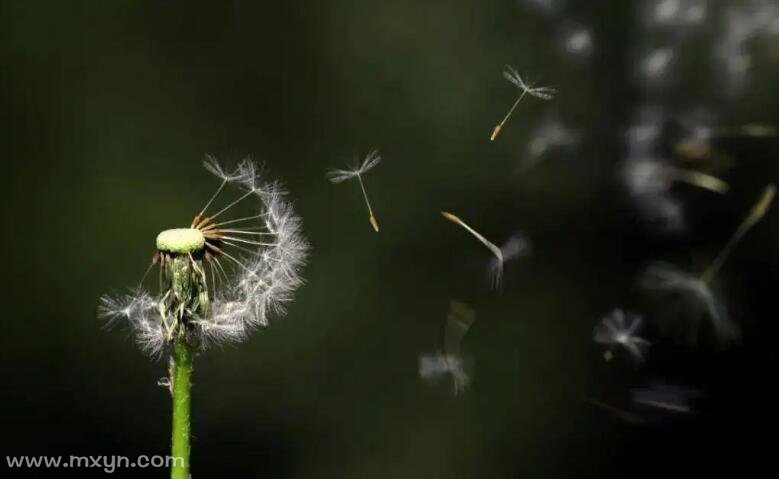 梦见自己痛打小三