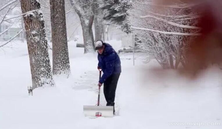 梦见铲雪