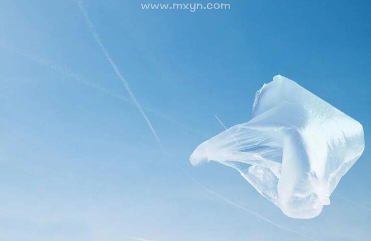 梦见白色塑料袋