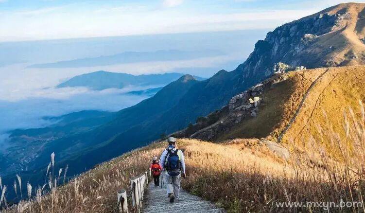 梦见去爬山