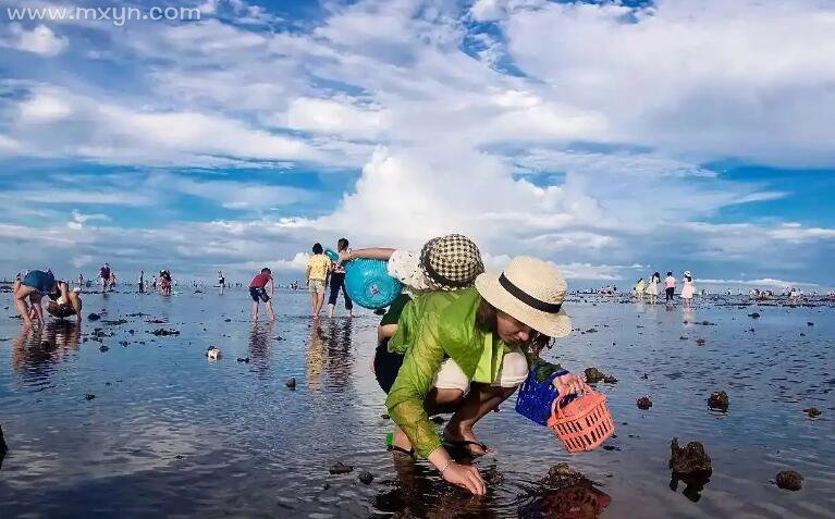 梦见在海边捡海鲜