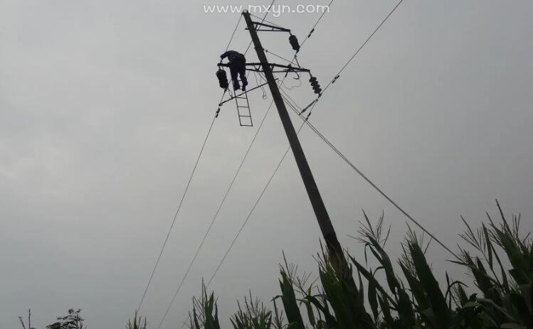 梦见电线杆倒了
