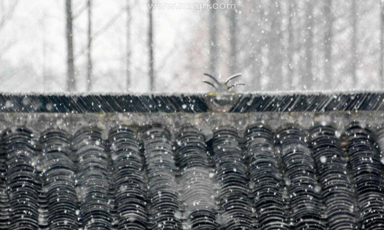 梦见雨夹雪